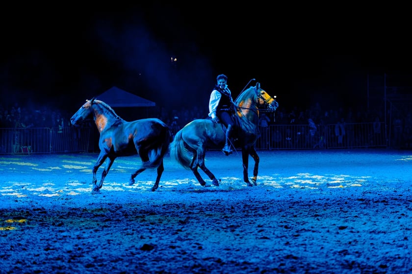Zdjęcia Wiktora Rzeżuchowskiego, fotografa i  instruktora jazdy konnej