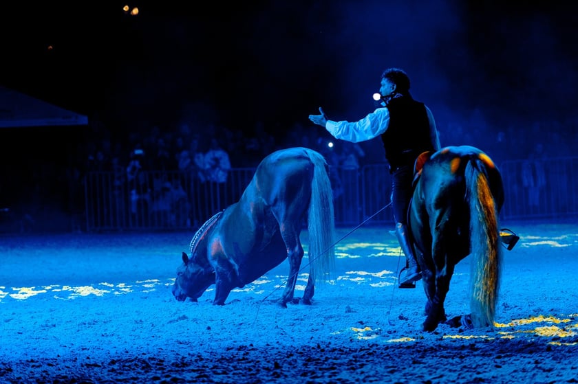 Zdjęcia Wiktora Rzeżuchowskiego, fotografa i  instruktora jazdy konnej