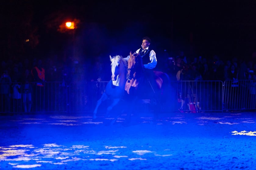 Zdjęcia Wiktora Rzeżuchowskiego, fotografa i  instruktora jazdy konnej