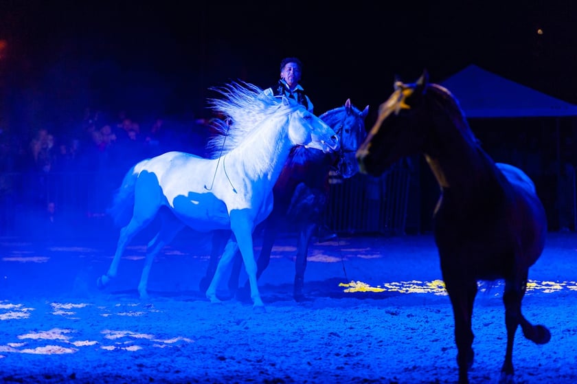 Zdjęcia Wiktora Rzeżuchowskiego, fotografa i  instruktora jazdy konnej