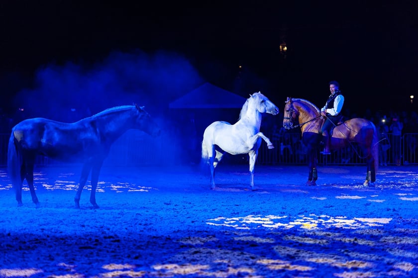 Zdjęcia Wiktora Rzeżuchowskiego, fotografa i  instruktora jazdy konnej