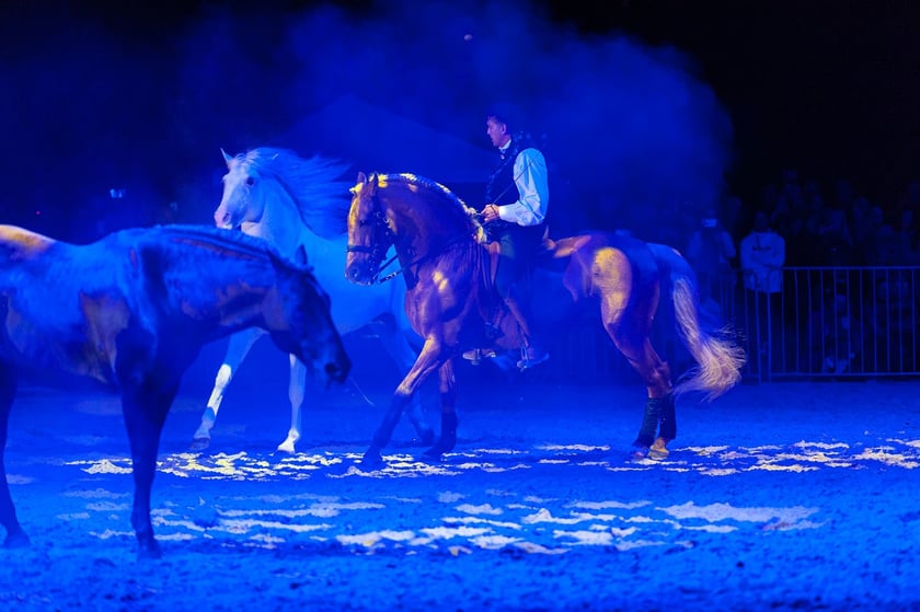 Zdjęcia Wiktora Rzeżuchowskiego, fotografa i  instruktora jazdy konnej