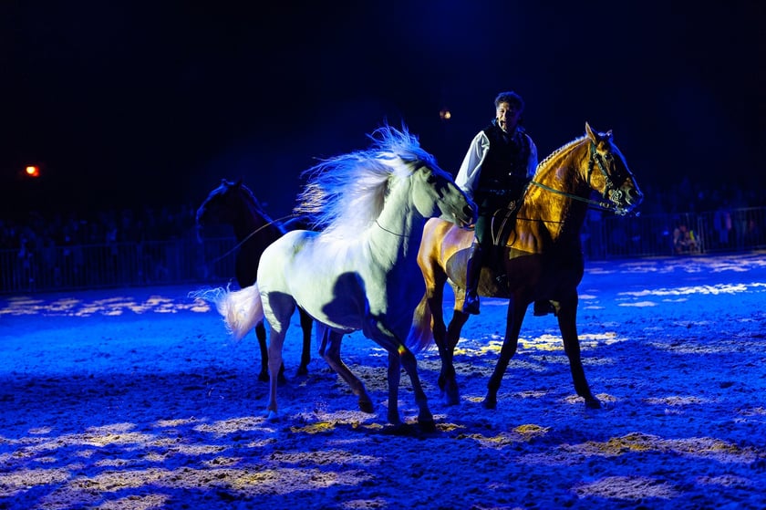 Zdjęcia Wiktora Rzeżuchowskiego, fotografa i  instruktora jazdy konnej