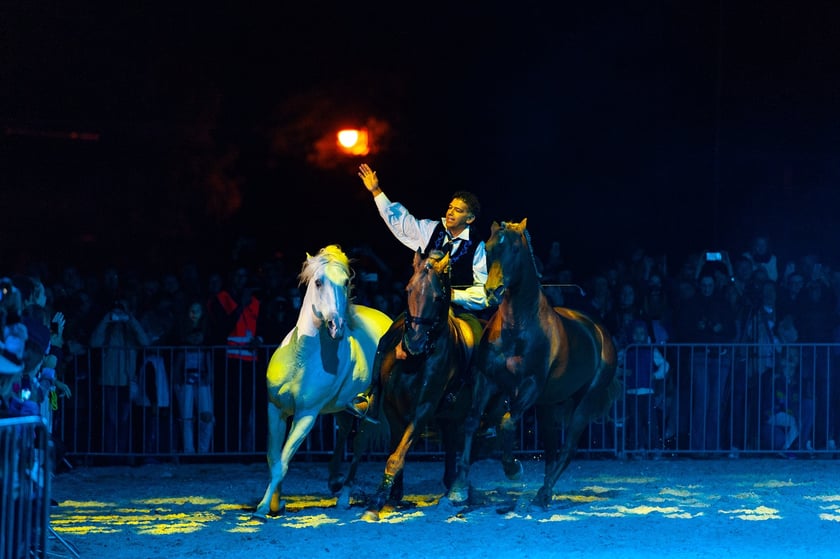 Zdjęcia Wiktora Rzeżuchowskiego, fotografa i  instruktora jazdy konnej