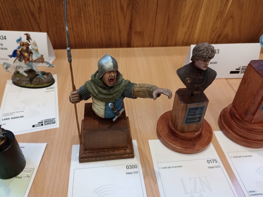 9. Wrocław Model Show w I LO we Wrocławiu