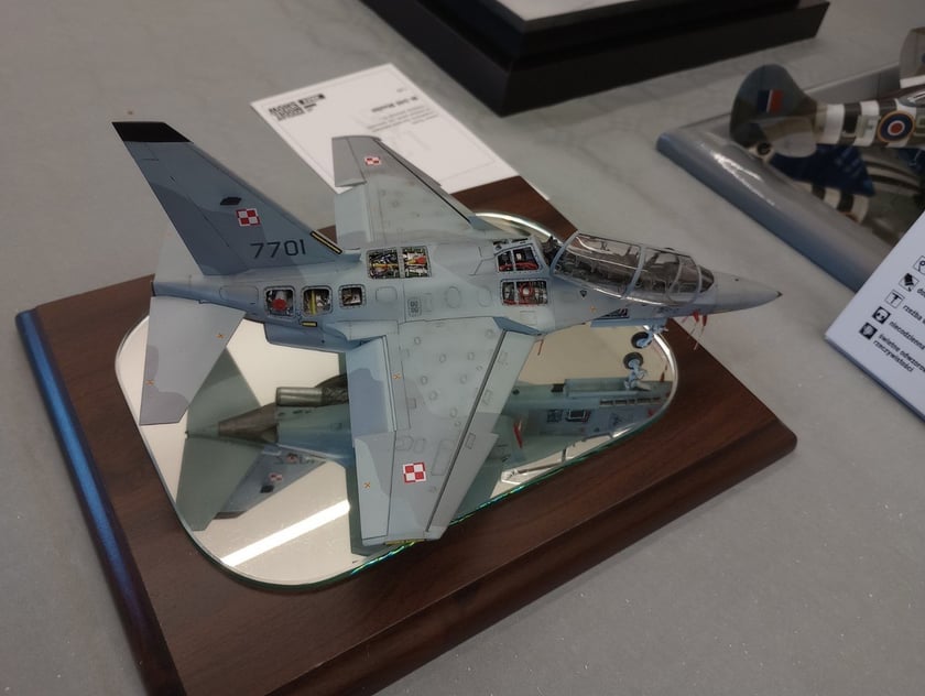 9. Wrocław Model Show w I LO we Wrocławiu