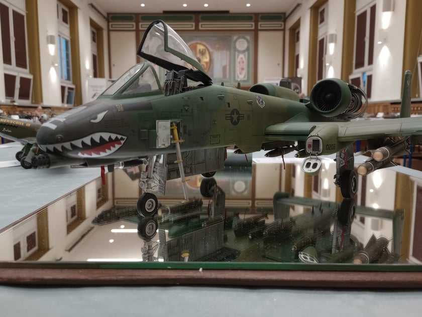 9. Wrocław Model Show w I LO we Wrocławiu