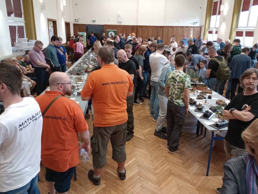 9. Wrocław Model Show w I LO we Wrocławiu