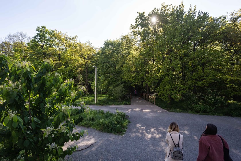 Nagrodzony w konkursie zrealizowany projket PoPo Parku