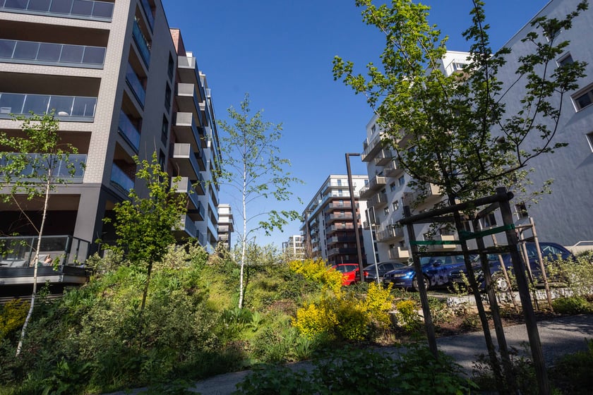 Nagrodzony w konkursie zrealizowany projket PoPo Parku