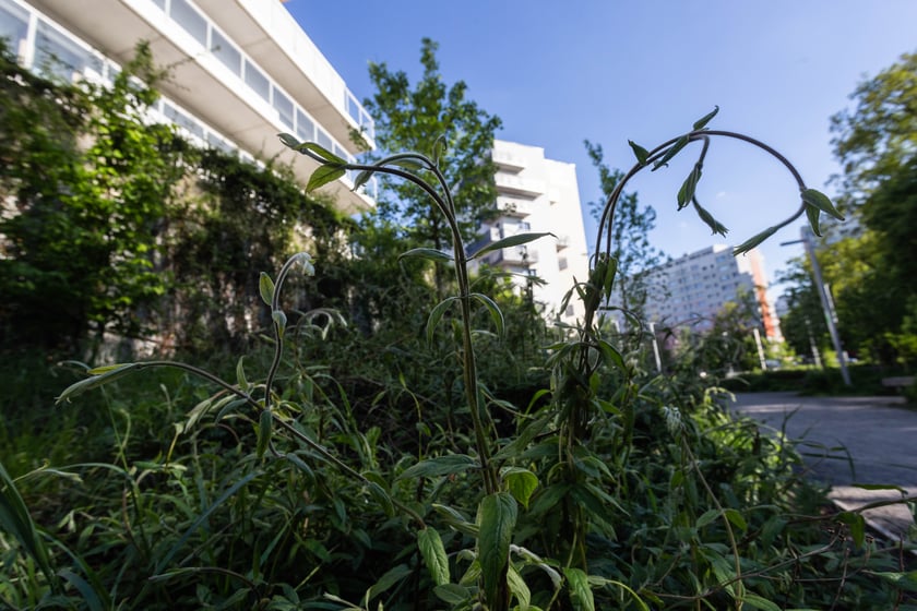 Nagrodzony w konkursie zrealizowany projekt&nbsp;&nbsp;PoPo Parku