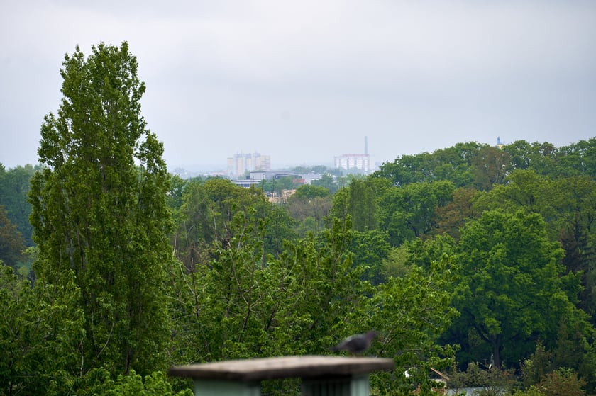 Bartoszowice z lotu ptaka