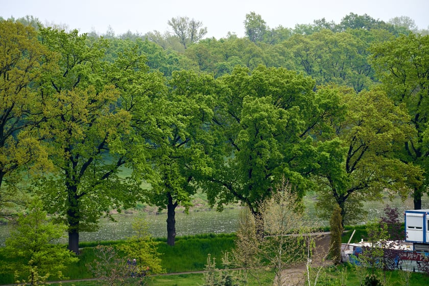 Bartoszowice z lotu ptaka
