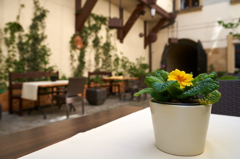 Podw&oacute;rko, ulica Kiełbaśnicza 6