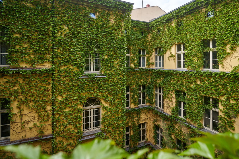 Podw&oacute;rko kamienicy przy pl. Solnym 14