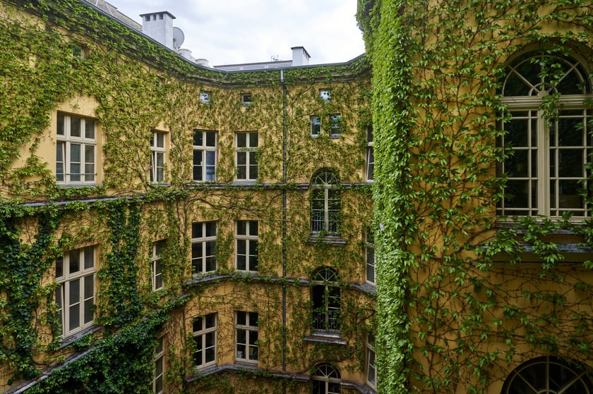 Podw&oacute;rko kamienicy przy pl. Solnym 14