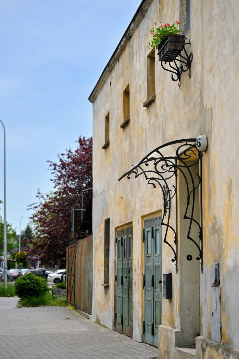 Wiosna już na dobre zagościła na Wojszycach.