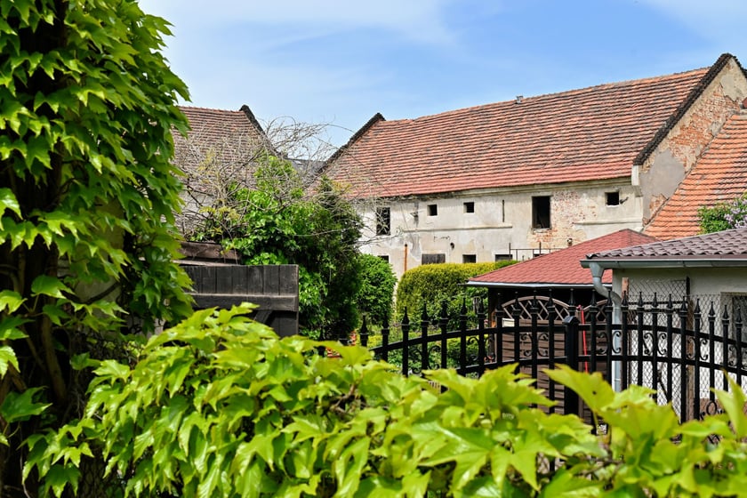 Wiosna już na dobre zagościła na Wojszycach.