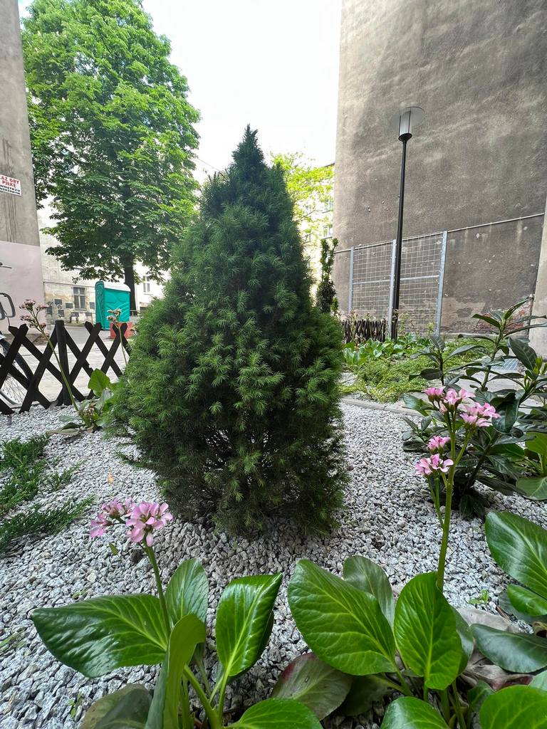 Tak prezentuje się zrewitalizowane podwórko w kwartale ulic Paulińskiej, Pomorskiej, Nobla i Rydygiera na Nadodrzu we Wrocławiu