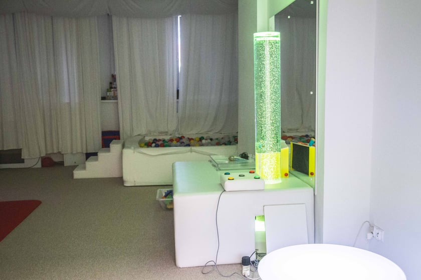 Rodzinny piknik charytatywny z okazji jubileuszu Fundacji ,,Potrafię Pomóc''