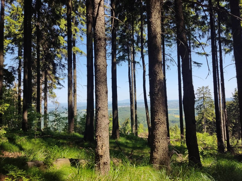 Wycieczka trasą na Trójgarb