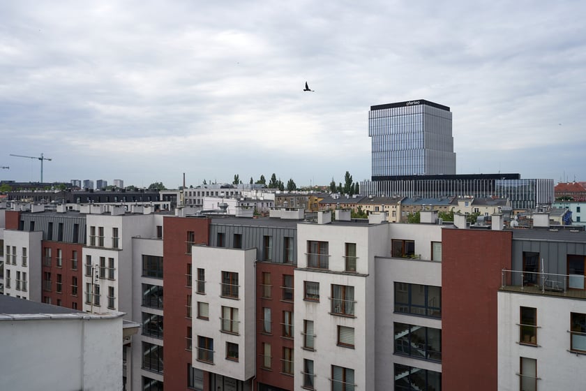 Panorama Wrocławia widziana z Trzonoliniowca