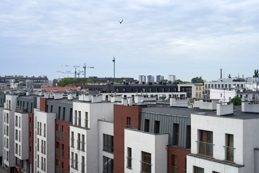 Panorama Wrocławia widziana z Trzonoliniowca