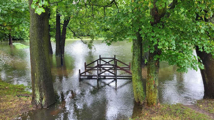Zalany park na Brochowie we Wrocławiu