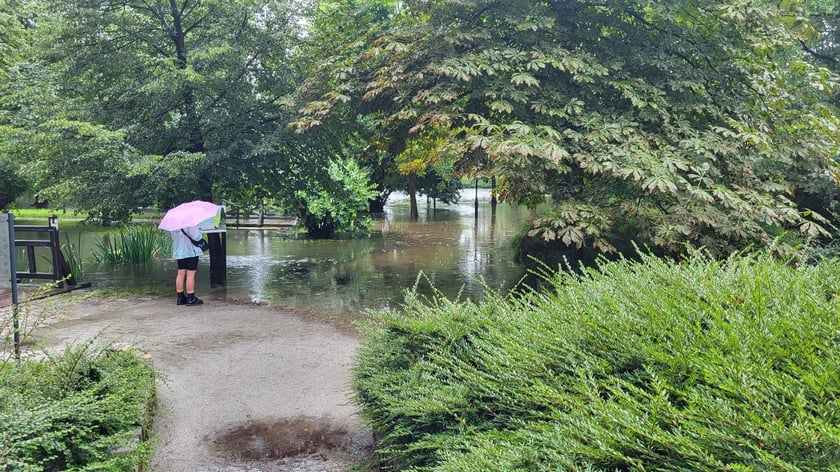 Zalany park na Brochowie we Wrocławiu