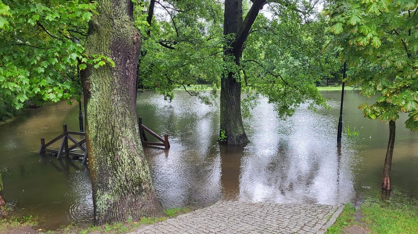 Zalany park na Brochowie we Wrocławiu