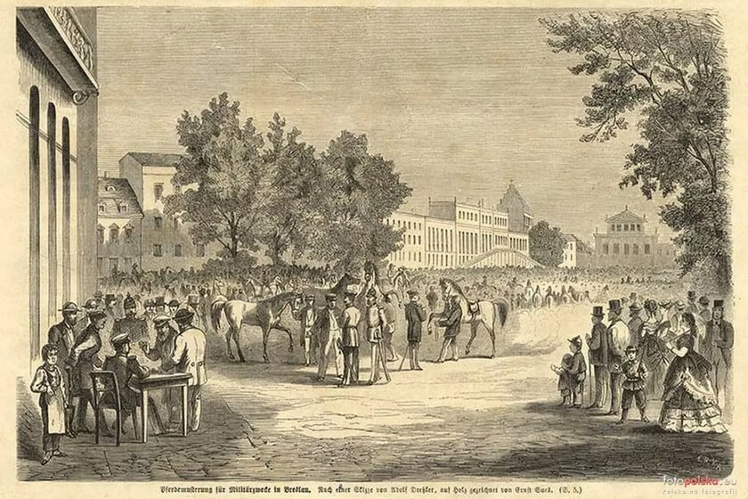 wydarzenia publiczne na pl. Wolności