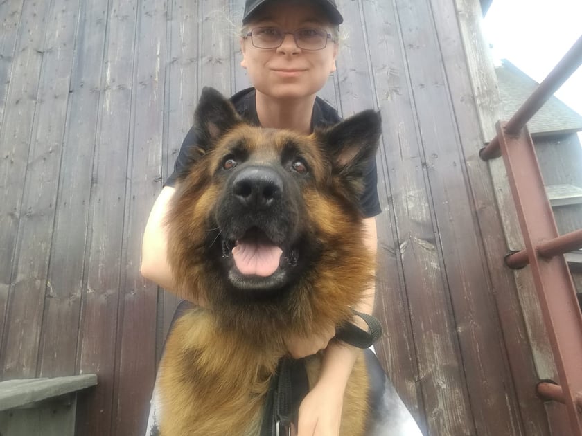 Psy użytkowników www.wroclaw.pl