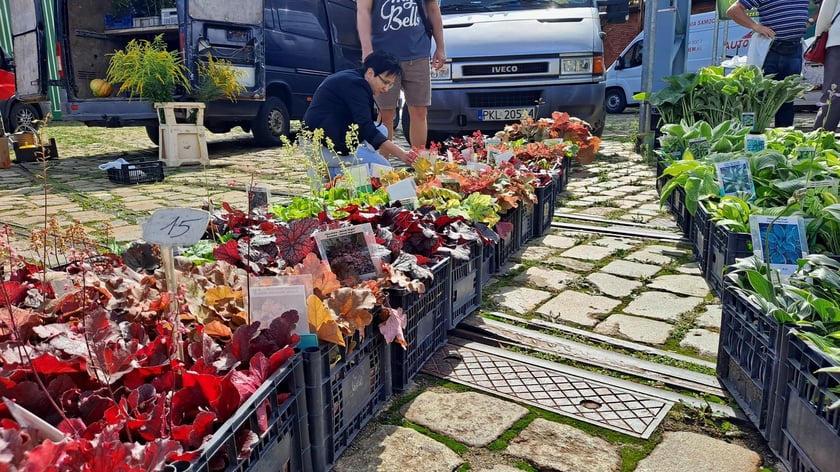 Fashion Meeting - Kupuj Świadomie w Czasoprzestrzeni