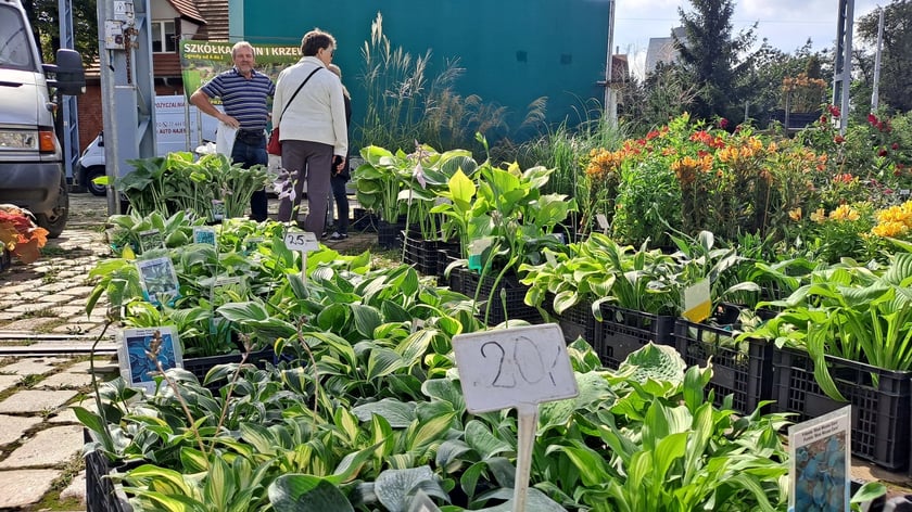 Fashion Meeting - Kupuj Świadomie w Czasoprzestrzeni