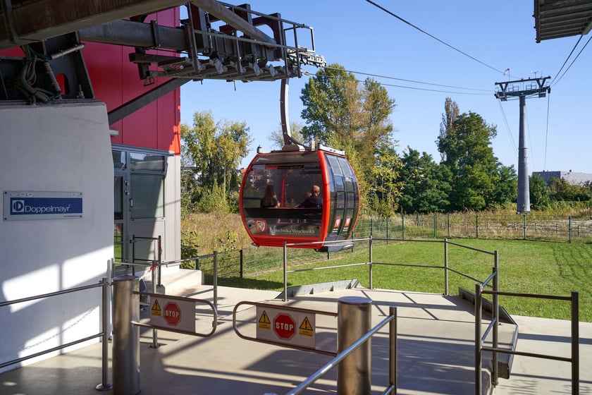 Polinka ma już 10 lat!