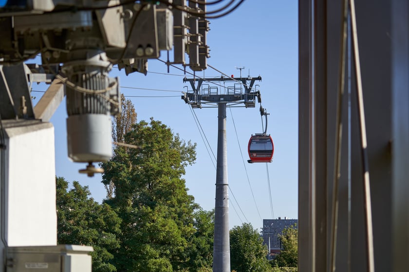 Polinka ma już 10 lat!