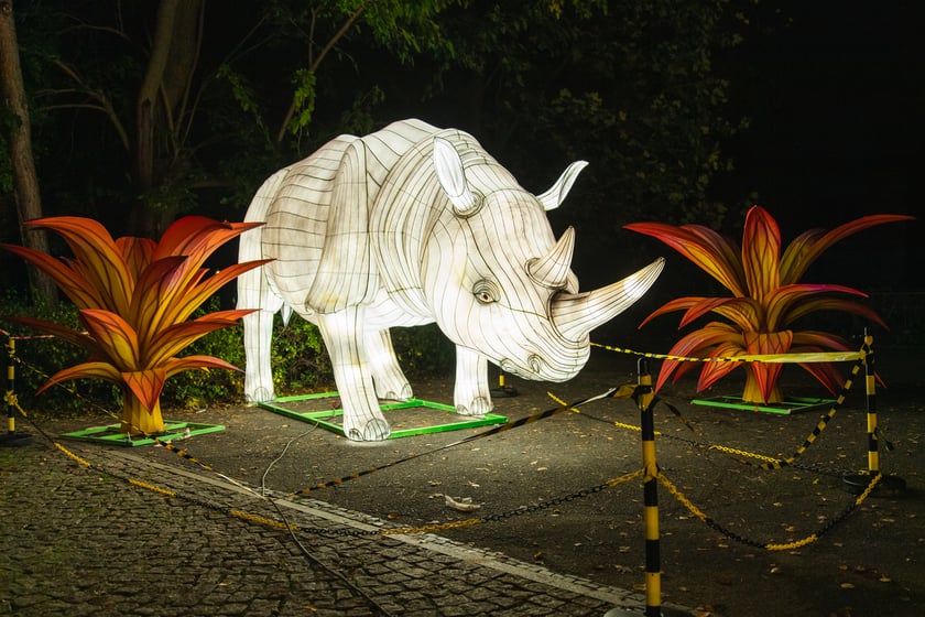 Garden of Lights - Ogród Świateł - wystawa "Dzika Afryka"