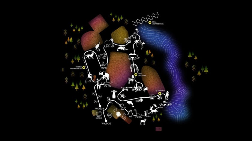 Mapka wystawy "Dzika Afryka" w zoo Wrocław