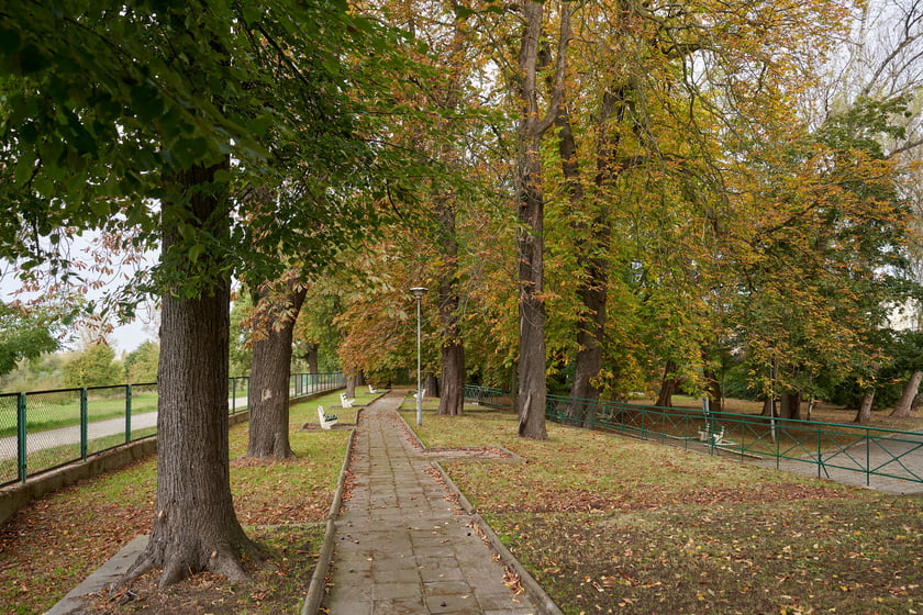 Zameczek Akademii Wychoawania Fizycznego przy ul. Rzeźbiarskiej we Wrocławiu