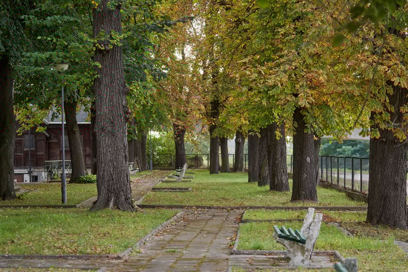 Zameczek Akademii Wychoawania Fizycznego przy ul. Rzeźbiarskiej we Wrocławiu