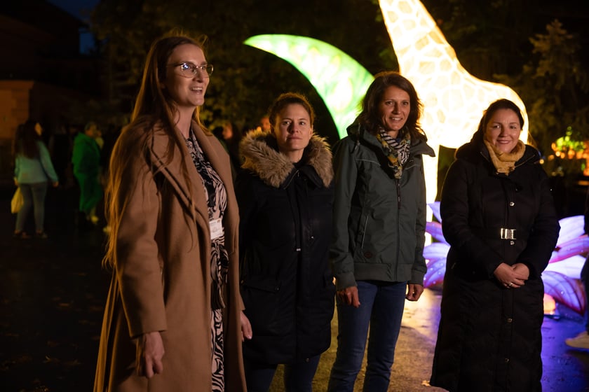 Garden of Lighst - Ogród Świateł - wystawa "Dzika Afryka" w zoo