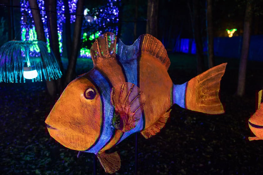 „Filmowe Opowieści” w Lumina Park w Zamku Topacz