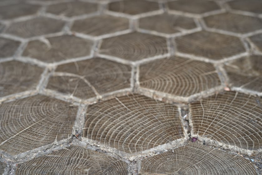 Kamienica, ul. Szajnochy 11