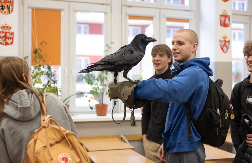 Uczniów IV LO odwiedza kruk - Ronin