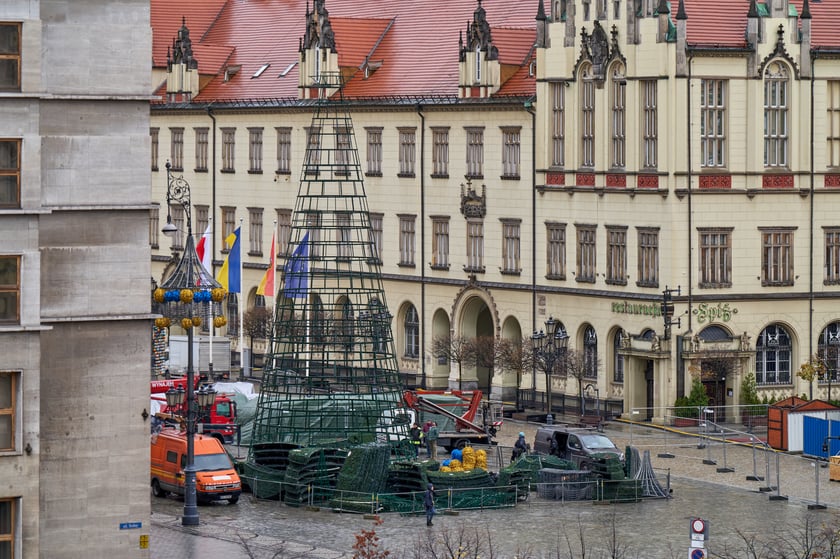 Montaż choinki na wrocławskim Rynku