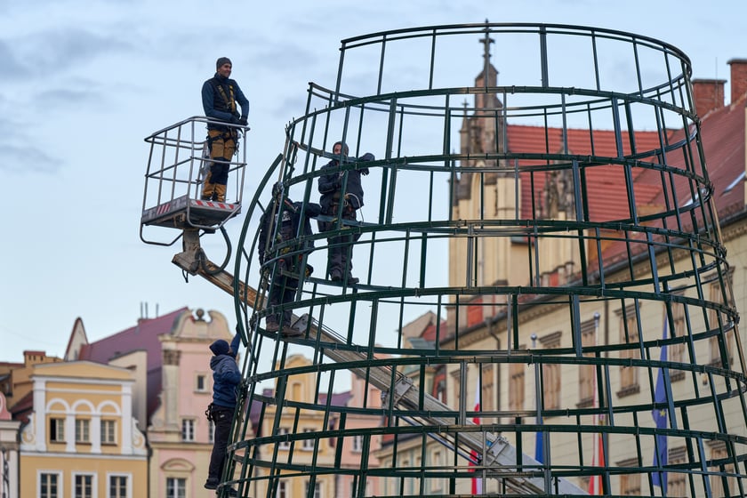 Montaż choinki na wrocławskim Rynku