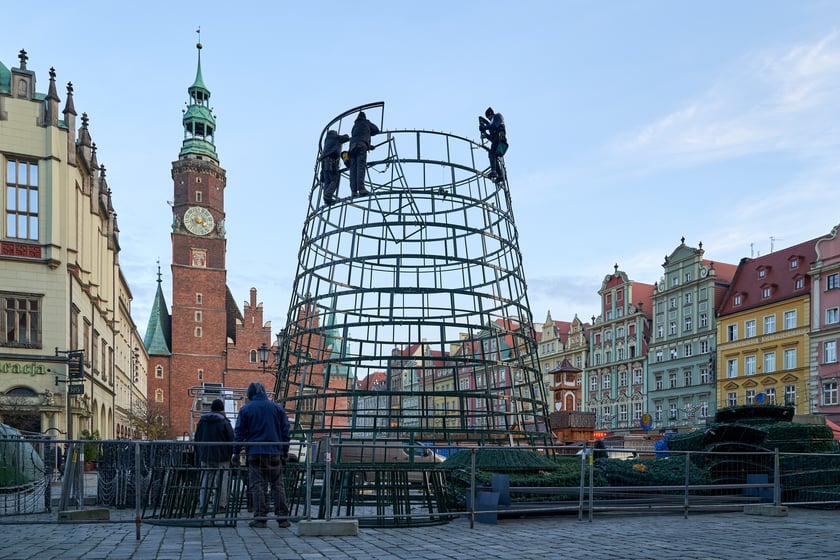 Montaż choinki na wrocławskim Rynku