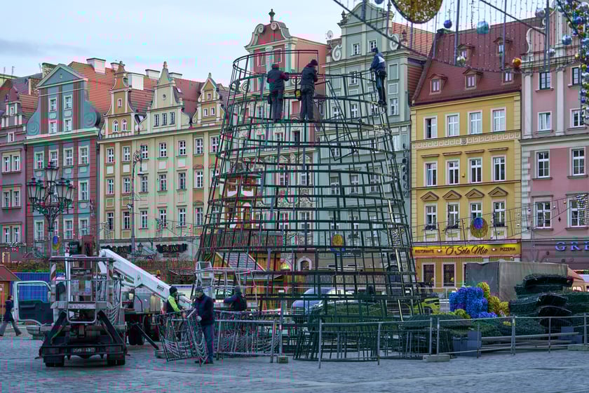 Montaż choinki na wrocławskim Rynku