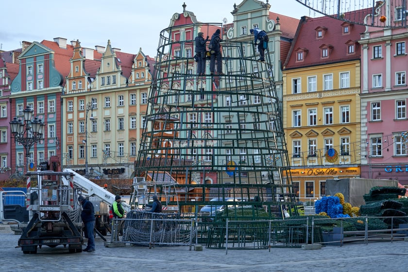 Montaż choinki na wrocławskim Rynku