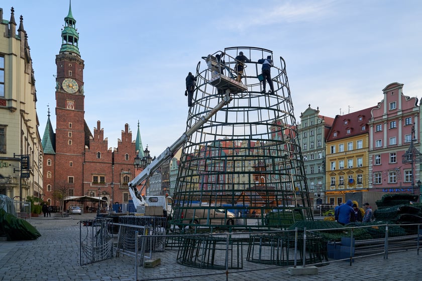 Montaż choinki na wrocławskim Rynku